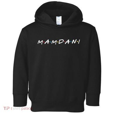 Zohran Mamdani Logo Toddler Hoodie