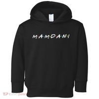 Zohran Mamdani Logo Toddler Hoodie thumb 0