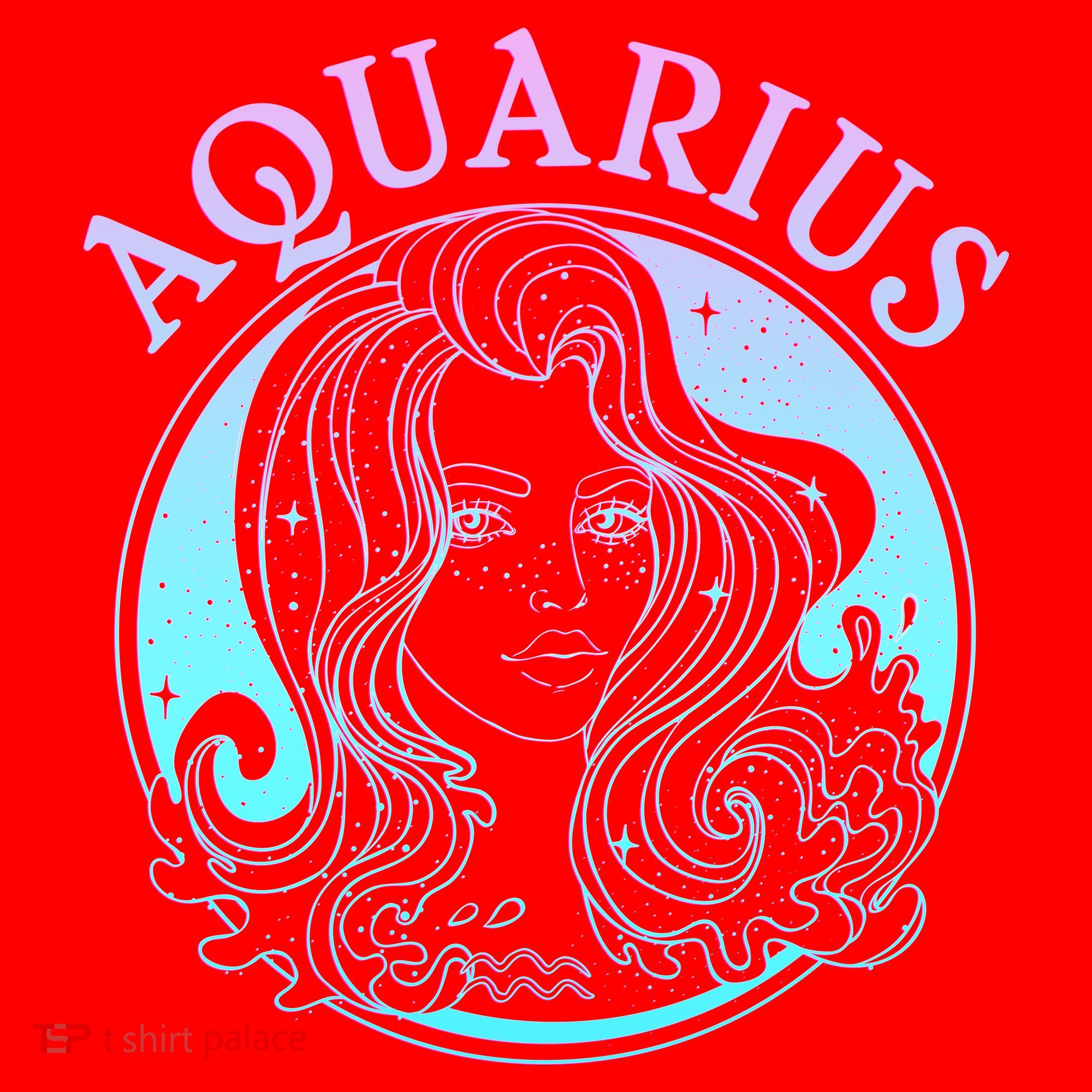 Zodiac Aquarius Lady Santa Hat
