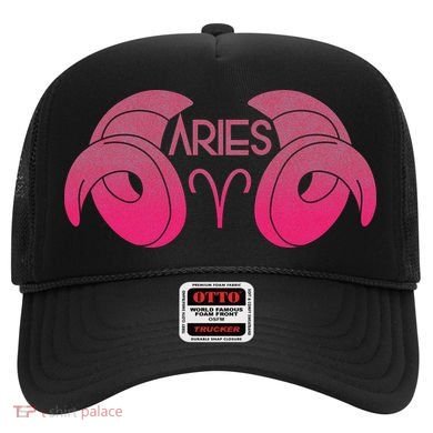 Zodiac Aries Ram Horns Hat