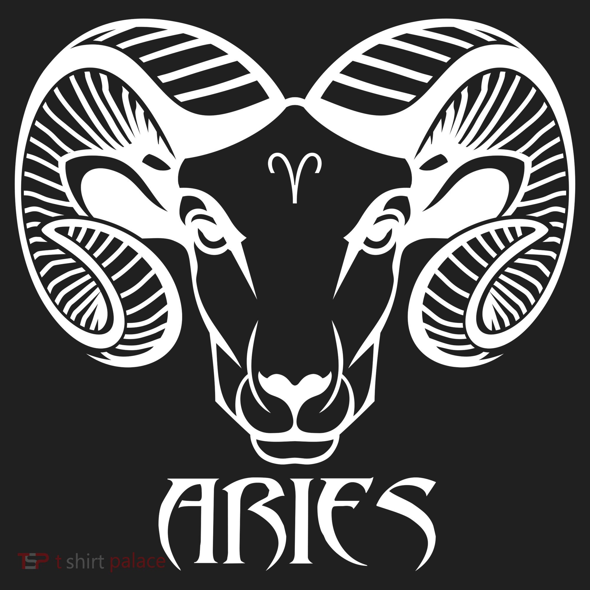 Zodiac Aries Ram Horns Face Beanie