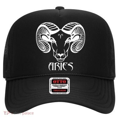 Zodiac Aries Ram Horns Face Hat