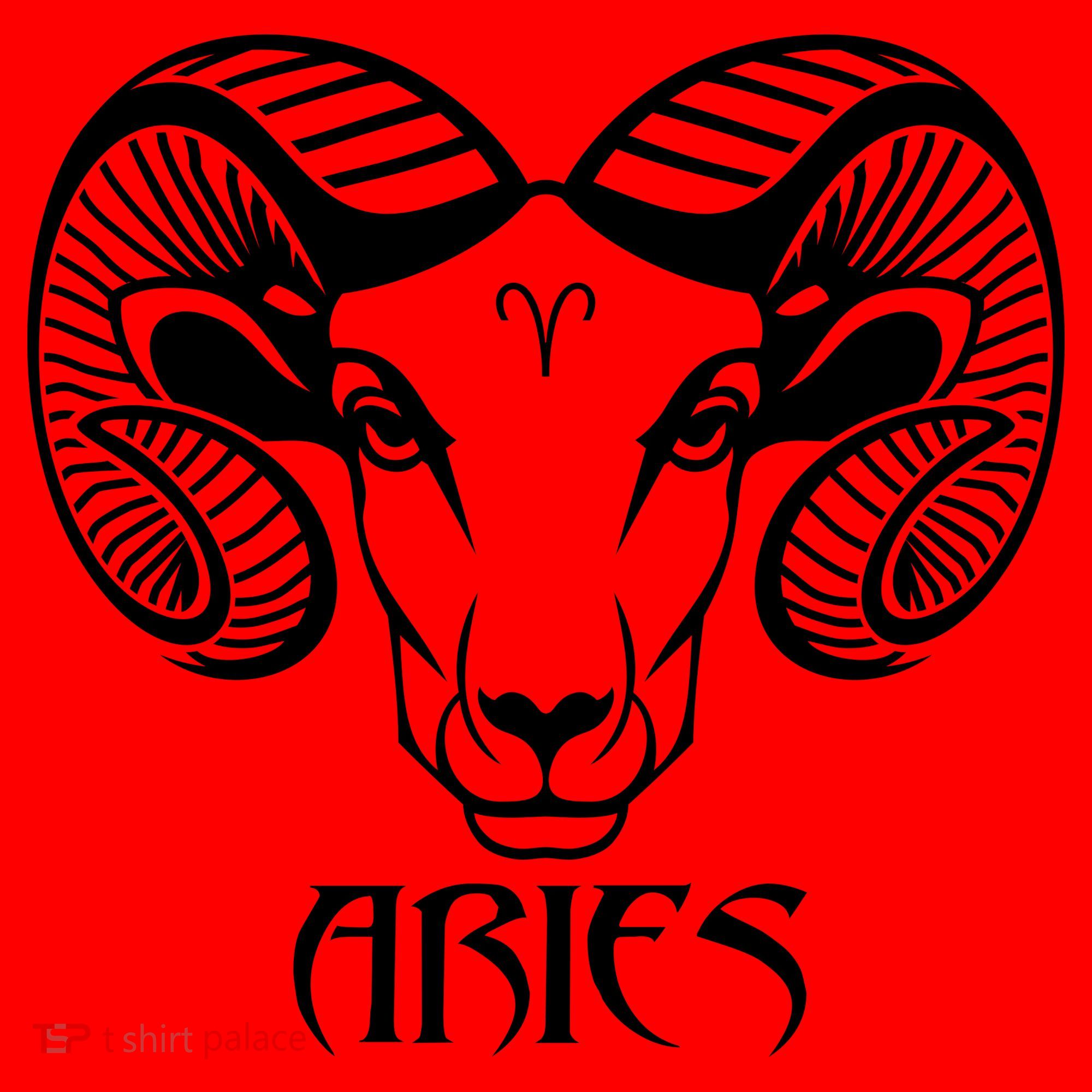 Zodiac Aries Ram Horns Face Santa Hat