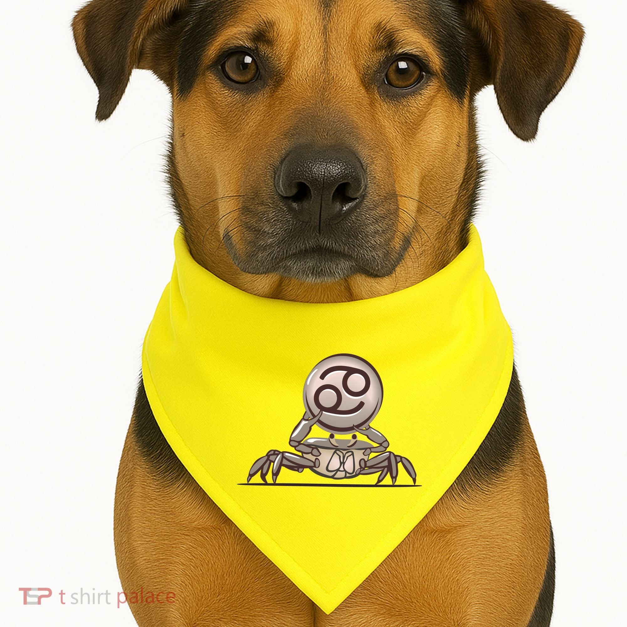 Zodiac Cancer Icon Gem USA-Made Doggie Bandana