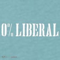 Zero Percent Liberal 0 Liberal Sueded Cloud Jersey T-Shirt thumb 2