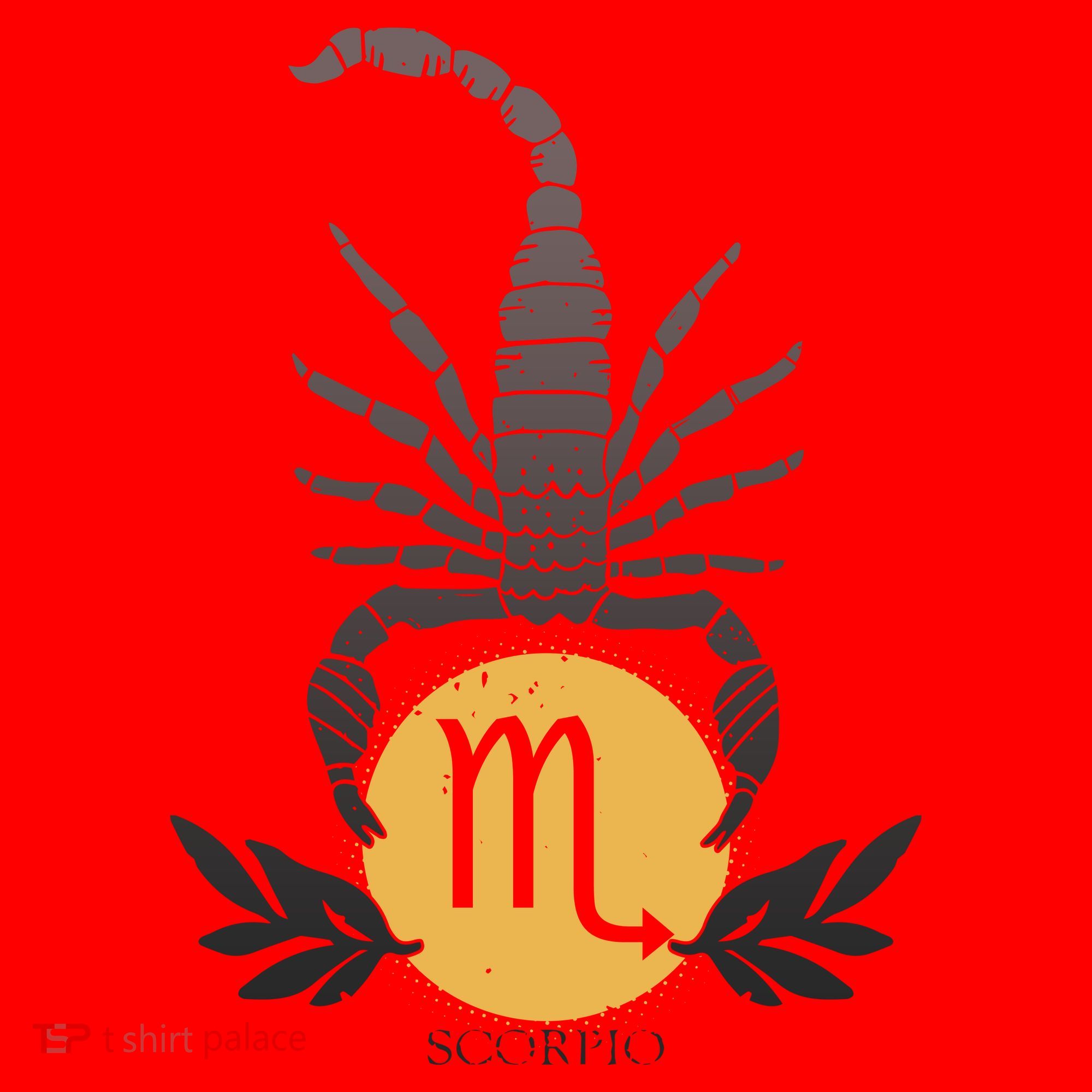 Zodiac Scorpio Scorpion Symbol Santa Hat