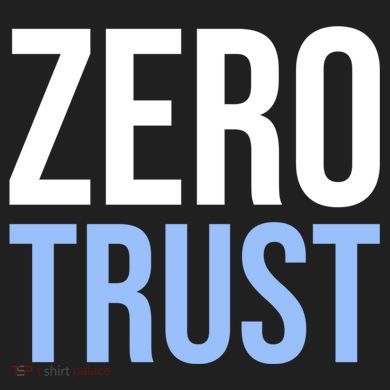 Zero Trust Security Cyber Security Hacking Developer Funny Comfort Colors Boxy T-Shirt