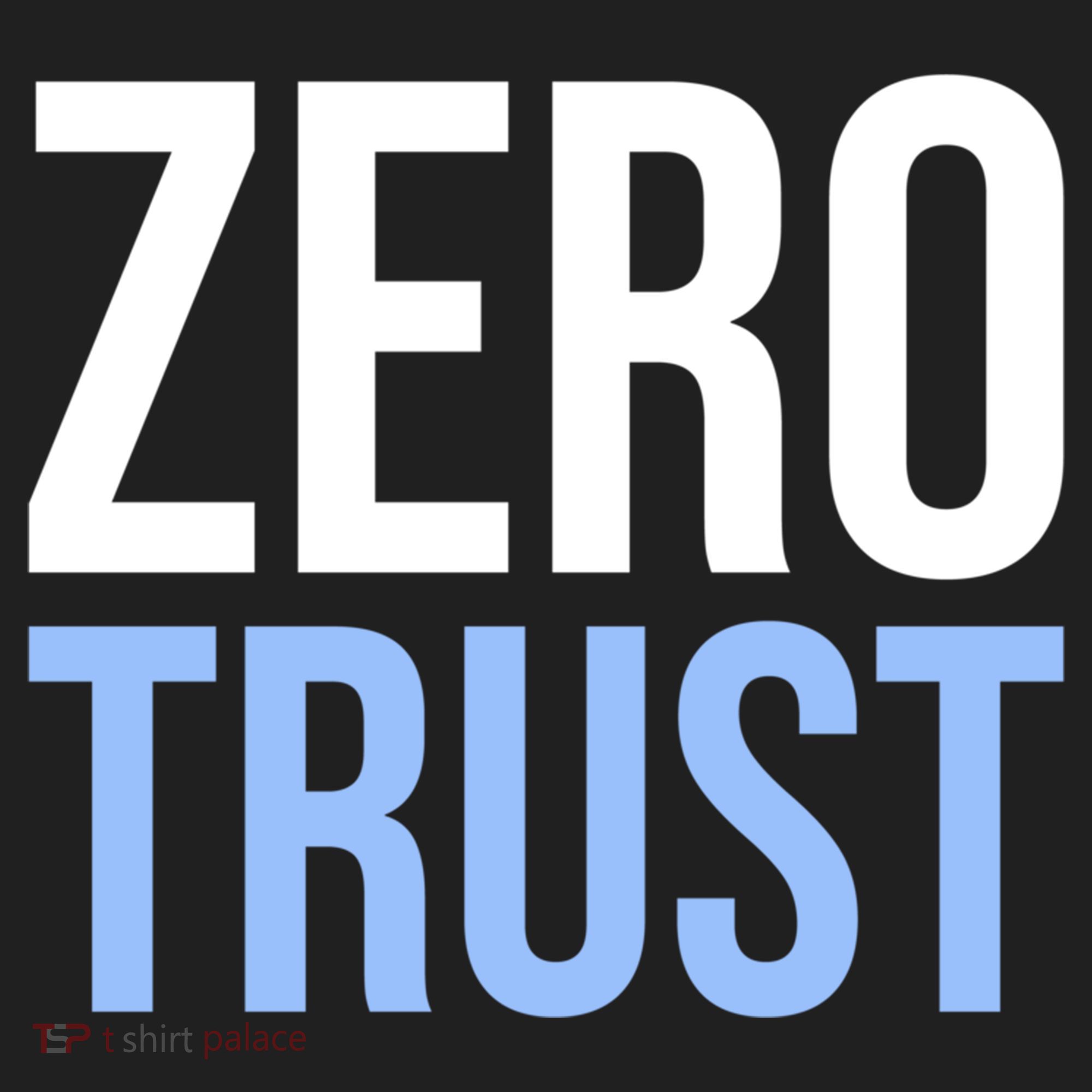 Zero Trust Security Cyber Security Hacking Developer Funny Comfort Colors Boxy T-Shirt